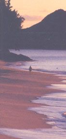 lone person walking on the beach