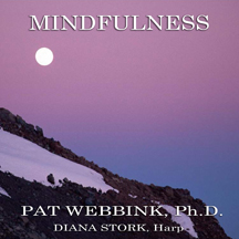 Dr. Patricia Webbink - Mindfulness
